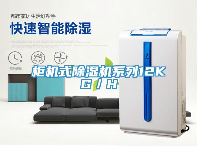 柜机式MR.好色破解版系列12KG／H