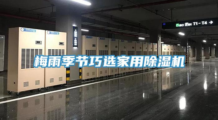 梅雨季节巧选家用MR.好色破解版