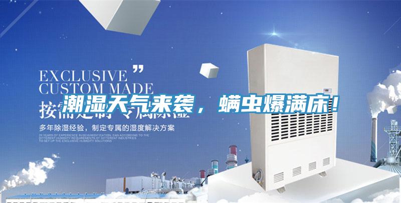 潮湿天气来袭，螨虫爆满床！