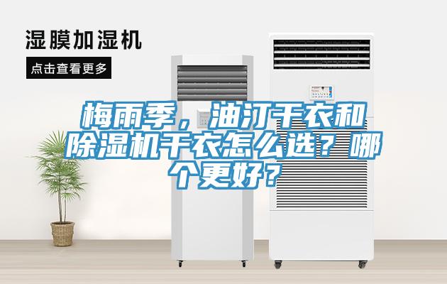 梅雨季，油汀干衣和MR.好色破解版干衣怎么选？哪个更好？