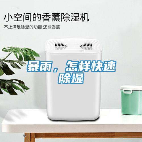 暴雨，怎样快速除湿