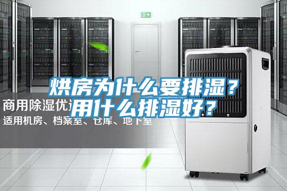烘房为什么要排湿？用什么排湿好？