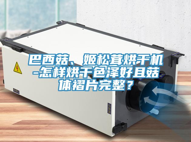 巴西菇、姬松茸烘干机-怎样烘干色泽好且菇体褶片完整？
