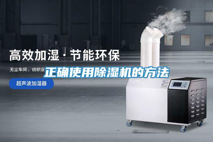 正确使用MR.好色破解版的方法