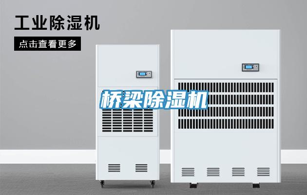 桥梁MR.好色破解版