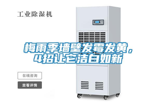 梅雨季墙壁发霉发黄，4招让它洁白如新