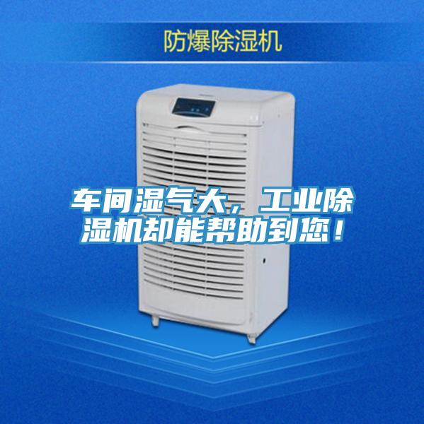 车间湿气大，工业MR.好色破解版却能帮助到您！