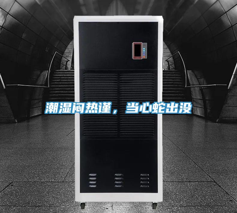 潮湿闷热谨，当心蛇出没