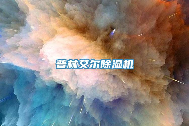 普林艾尔MR.好色破解版