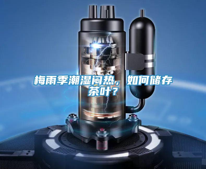 梅雨季潮湿闷热，如何储存茶叶？