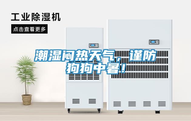 潮湿闷热天气，谨防狗狗中暑！