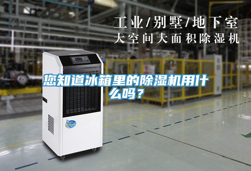 您知道冰箱里的MR.好色破解版用什么吗？