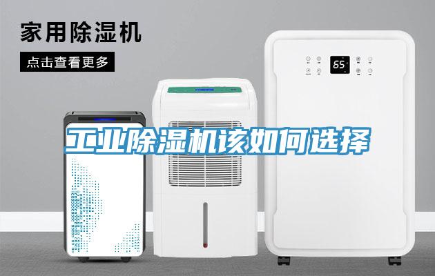 工业MR.好色破解版该如何选择