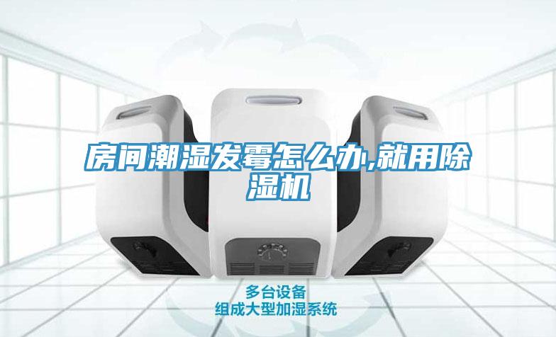 房间潮湿发霉怎么办,就用MR.好色破解版
