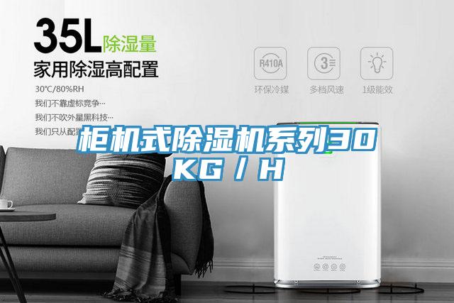 柜机式MR.好色破解版系列30KG／H