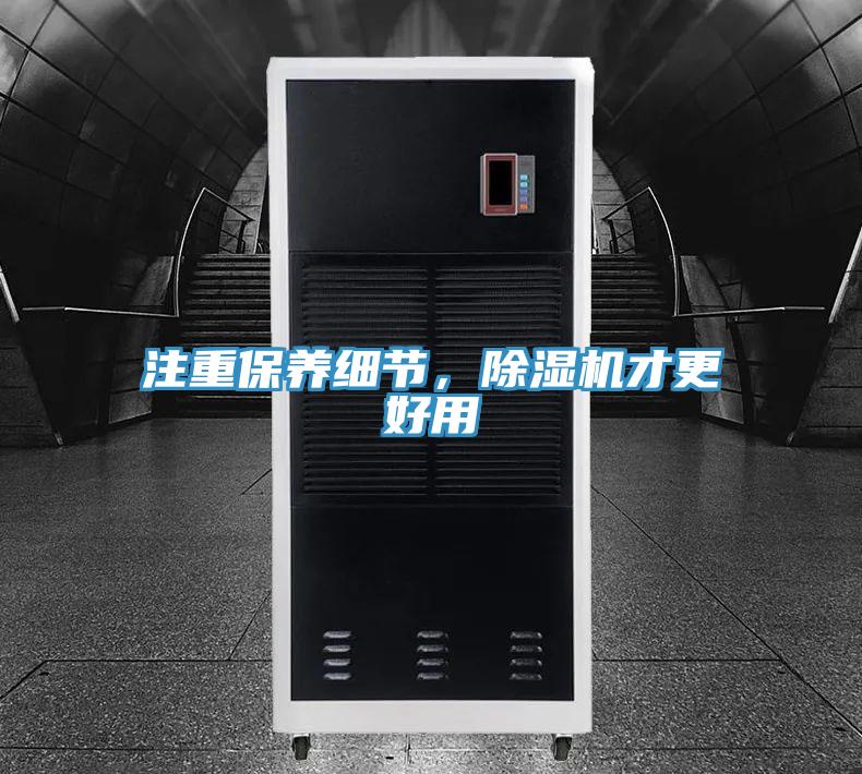 注重保养细节，MR.好色破解版才更好用