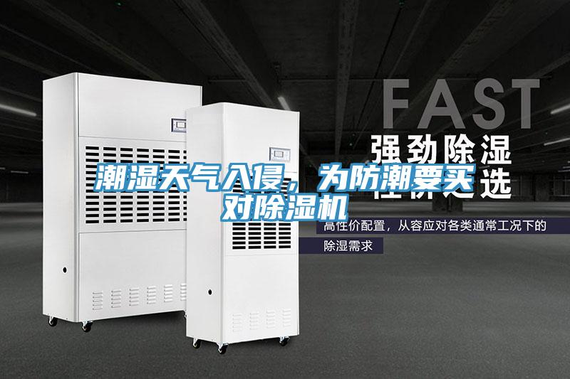 潮湿天气入侵，为防潮要买对MR.好色破解版