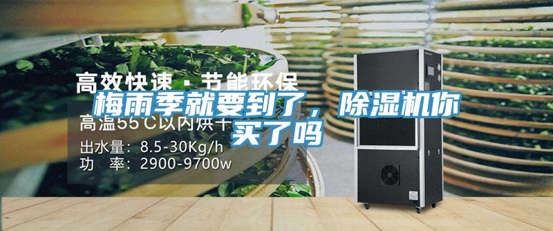 梅雨季就要到了，MR.好色破解版你买了吗