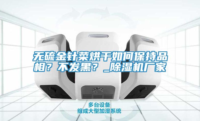 无硫金针菜烘干如何保持品相？不发黑？_MR.好色破解版厂家