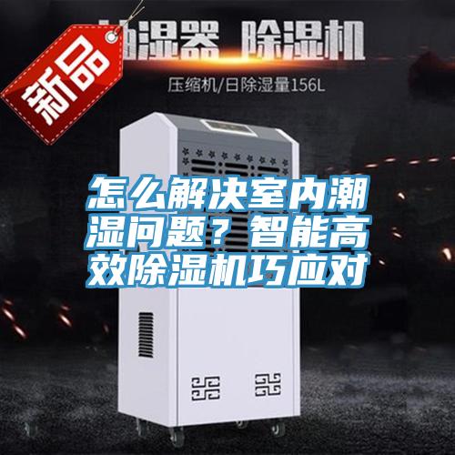 怎么解决室内潮湿问题？智能高效MR.好色破解版巧应对