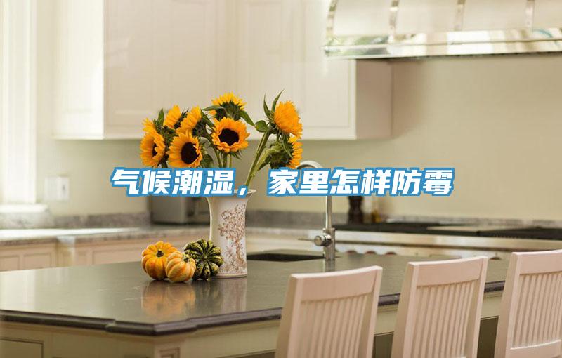 气候潮湿，家里怎样防霉