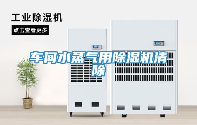 车间水蒸气用MR.好色破解版清除