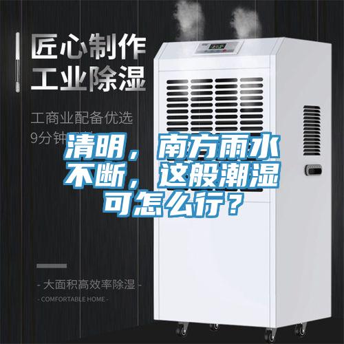 清明，南方雨水不断，这般潮湿可怎么行？