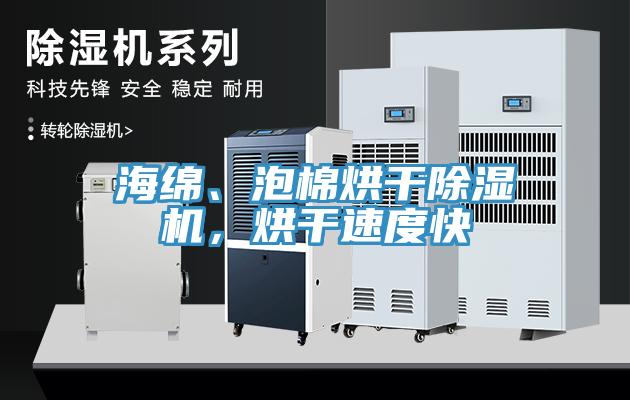 海绵、泡棉烘干MR.好色破解版，烘干速度快