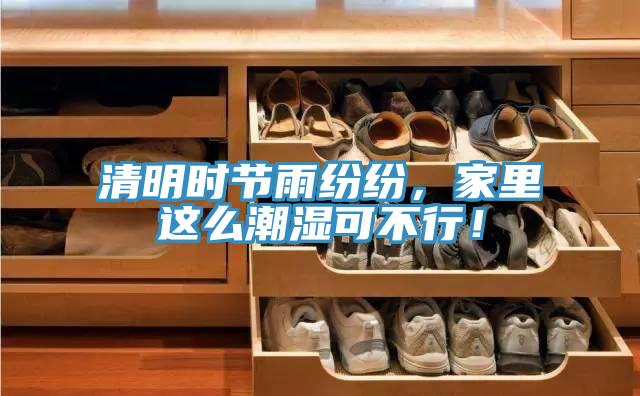 清明时节雨纷纷，家里这么潮湿可不行！