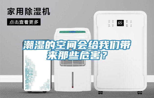 潮湿的空间会给好色先生TV下载网站带来那些危害？
