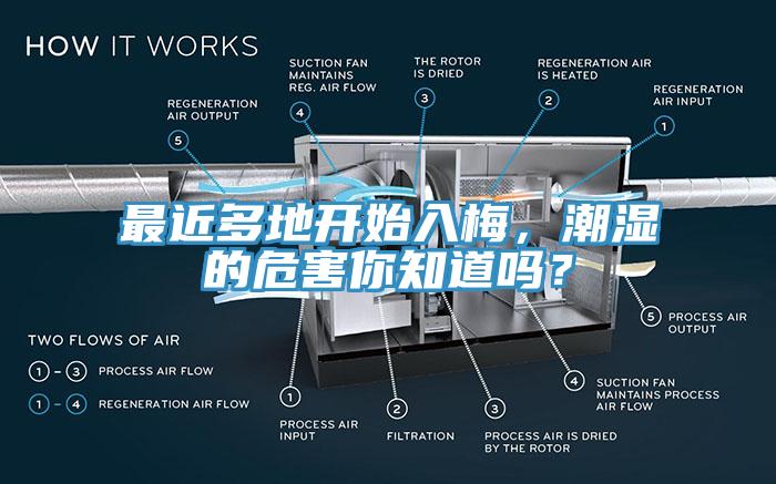 最近多地开始入梅，潮湿的危害你知道吗？