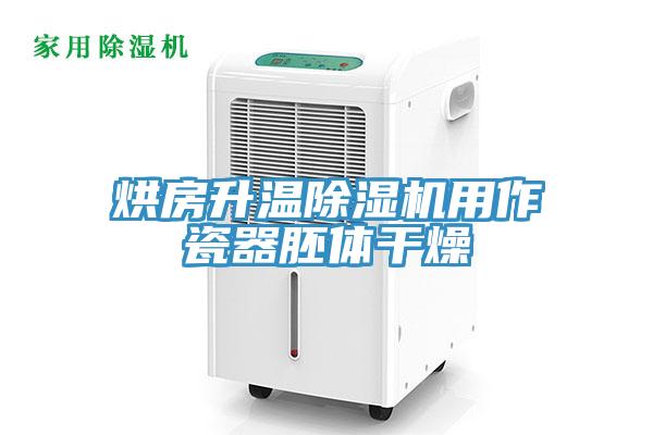 烘房升温MR.好色破解版用作瓷器胚体干燥