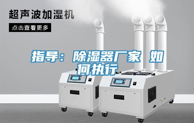 指导：除湿器厂家 如何执行