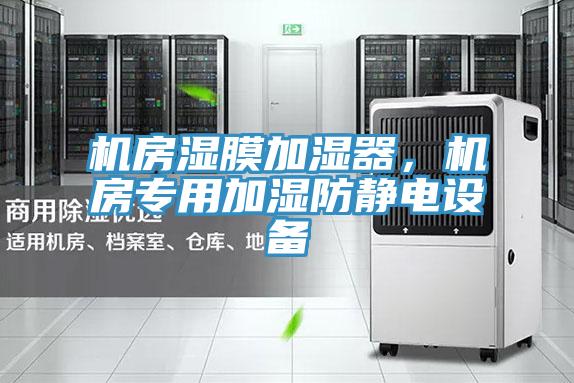 机房湿膜加湿器，机房专用加湿防静电设备