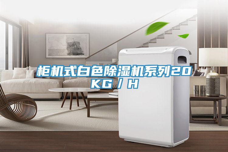 柜机式白色MR.好色破解版系列20KG／H