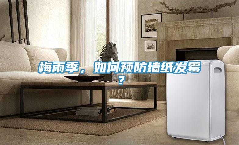 梅雨季，如何预防墙纸发霉？