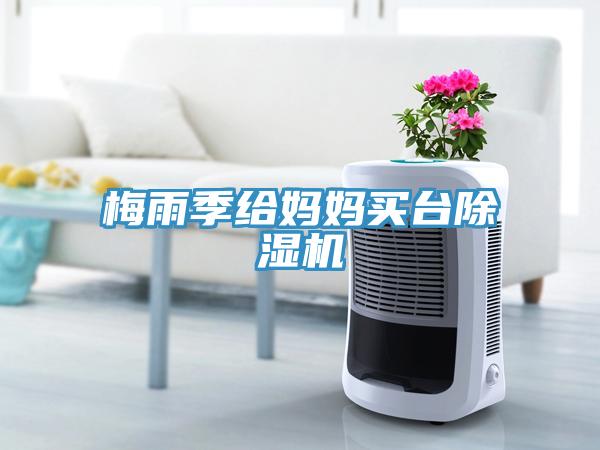 梅雨季给妈妈买台MR.好色破解版