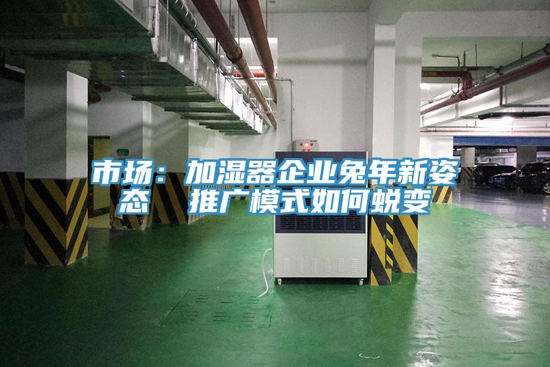 市场：加湿器企业兔年新姿态  推广模式如何蜕变