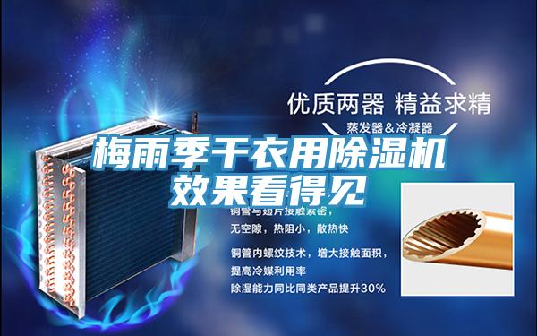 梅雨季干衣用MR.好色破解版效果看得见