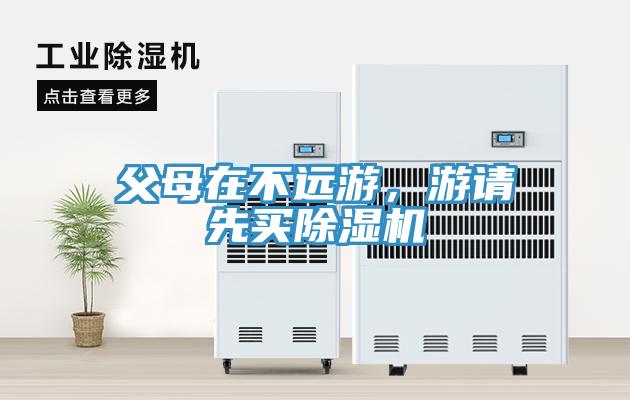 父母在不远游，游请先买MR.好色破解版