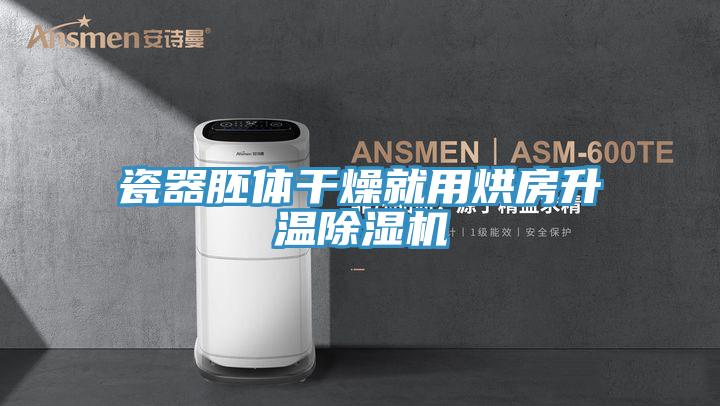 瓷器胚体干燥就用烘房升温MR.好色破解版