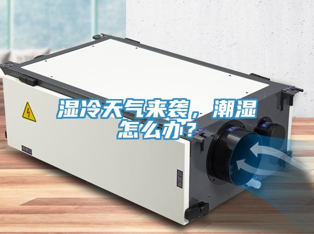 湿冷天气来袭，潮湿怎么办？