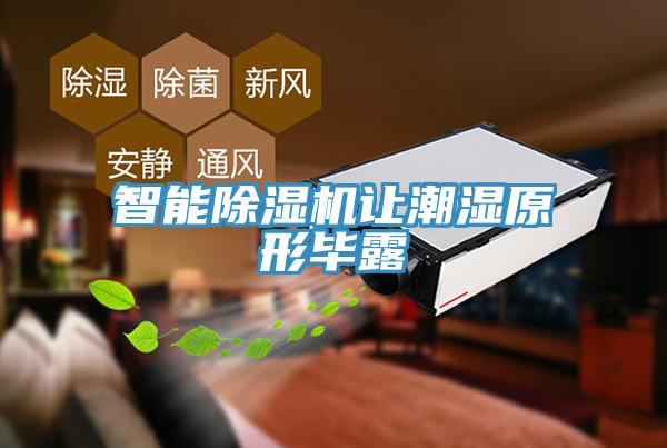 智能MR.好色破解版让潮湿原形毕露