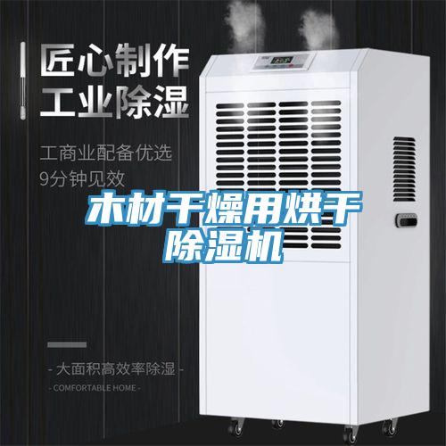 木材干燥用烘干MR.好色破解版