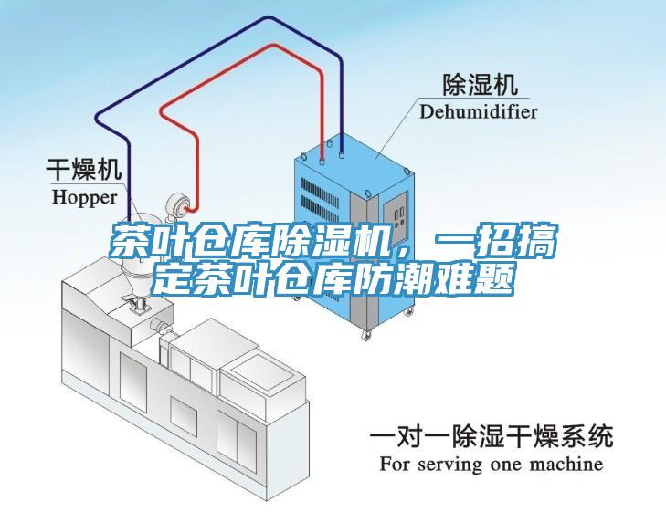 茶叶仓库MR.好色破解版，一招搞定茶叶仓库防潮难题