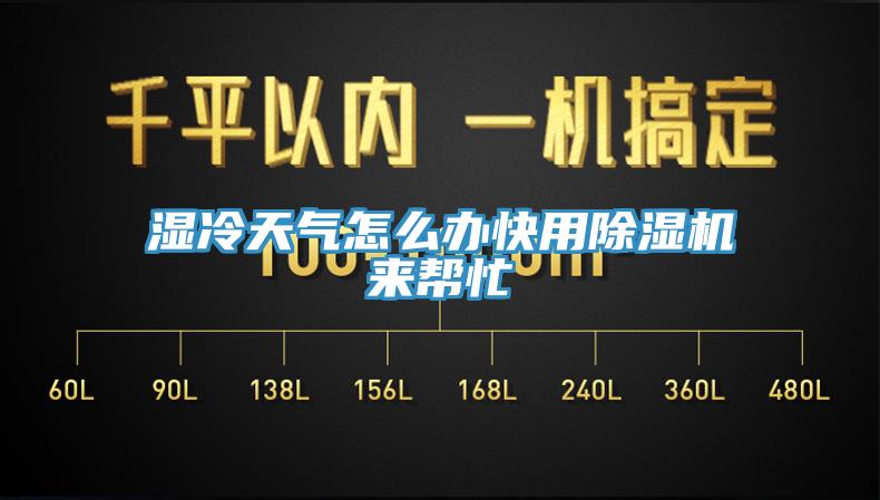 湿冷天气怎么办快用MR.好色破解版来帮忙
