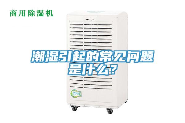 潮湿引起的常见问题是什么？