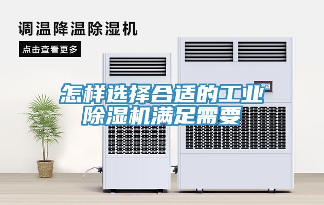 怎样选择合适的工业MR.好色破解版满足需要