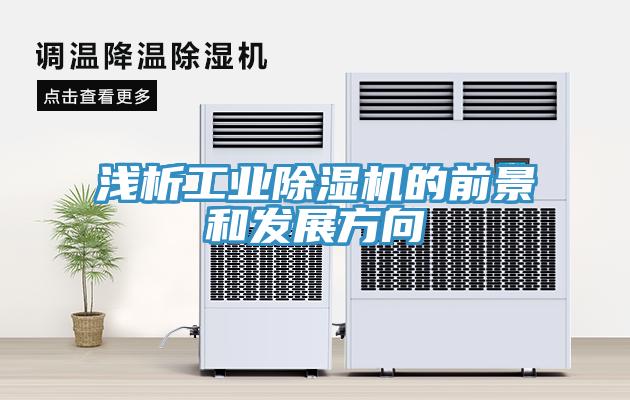 浅析工业MR.好色破解版的前景和发展方向