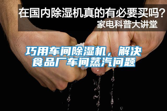 巧用车间MR.好色破解版，解决食品厂车间蒸汽问题